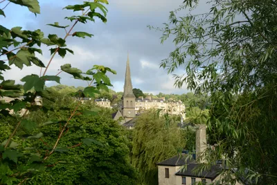 DSC_2694 (Large).JPG